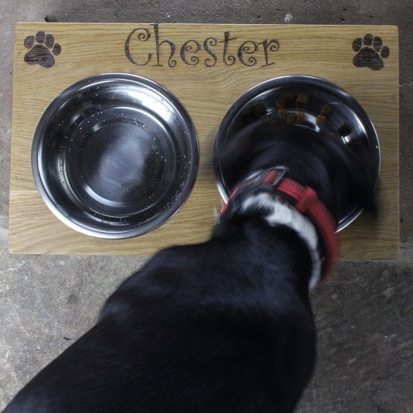 personalised oak dogs bowl in use from above square personalised oak dogs bowl in use from above square
