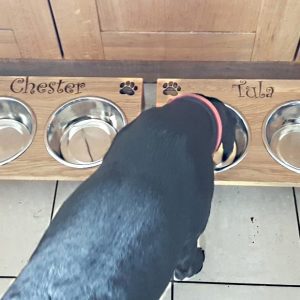personalised dog bowls