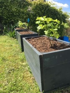 redesigning your garden with planters as boundaries