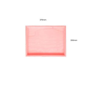 Pink Painted Birch Ply Box Tray 375290 Pink Painted Birch Ply Box Tray 375290