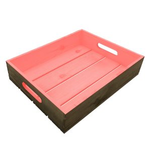 pink colour burst tray 375x290x80