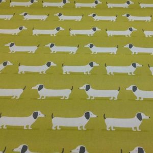 yellow sausage dog