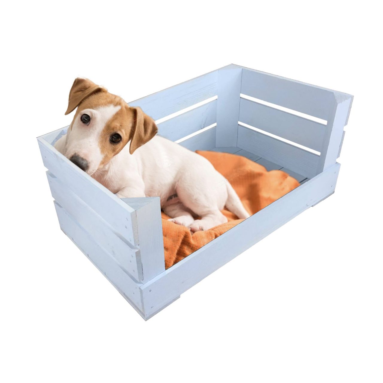 dog bed crate