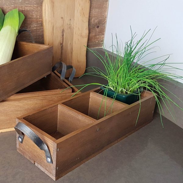 Looped Handle Rustic 3 compartment Tray 350x120x80 in use with plant Looped Handle Rustic 3 compartment Tray 350x120x80 in use with plant