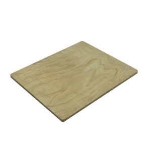 Scorched Ply Reversible Placemats 240x200x6 reverse side