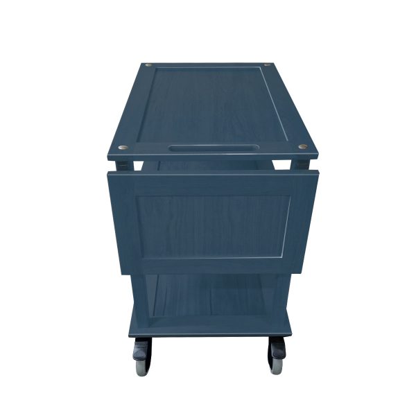 TR3 DL2 Burford Trolley AG end view TR3 DL2 Burford Trolley AG end view