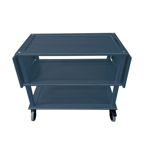 TR3L DL2 Burford Trolley AG side view TR3L DL2 Burford Trolley AG side view