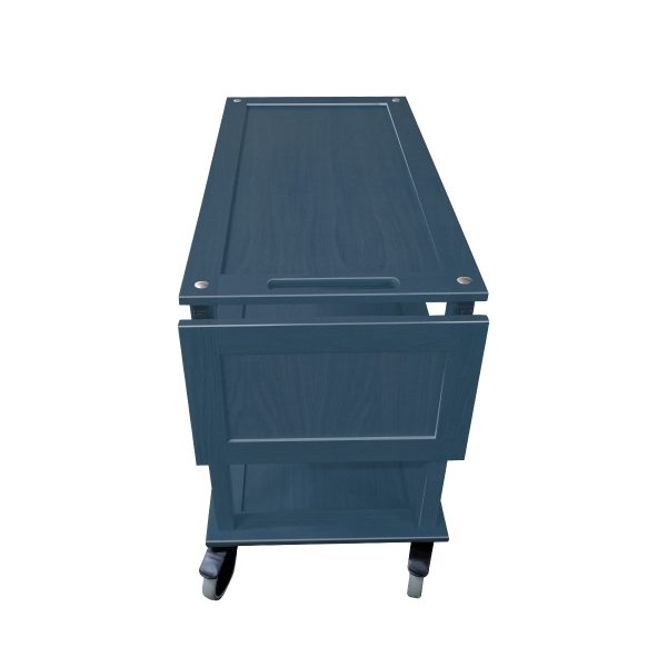 TR3L DL2 Burford Trolley AG end view TR3L DL2 Burford Trolley AG end view